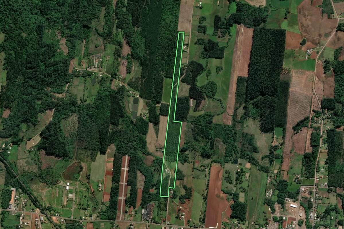 Imagem de satélite do imóvel rural em Paverama (RS), com o contorno declarado no CAR desenhado por cima.