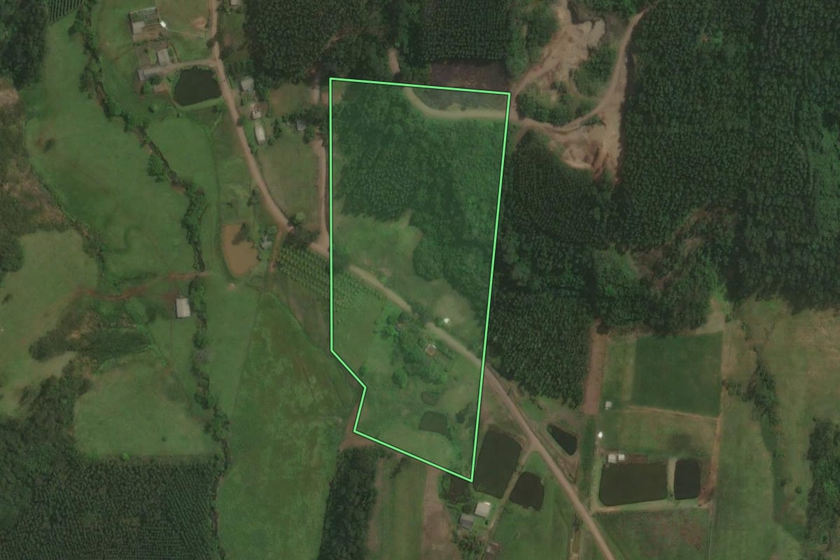 Imagem de satélite do imóvel rural em Paverama (RS), com o contorno declarado no CAR desenhado por cima.