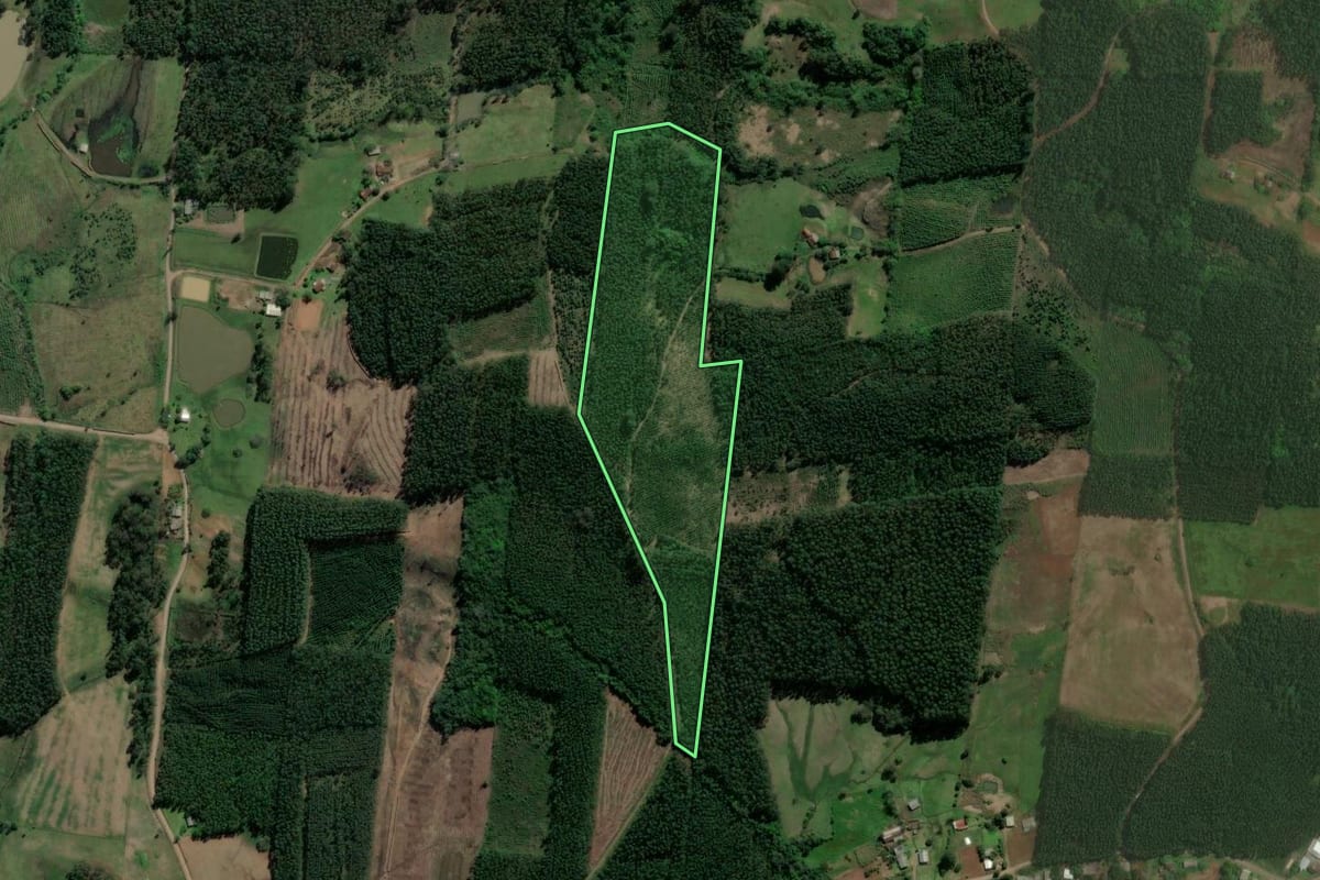 Imagem de satélite do imóvel rural em Paverama (RS), com o contorno declarado no CAR desenhado por cima.