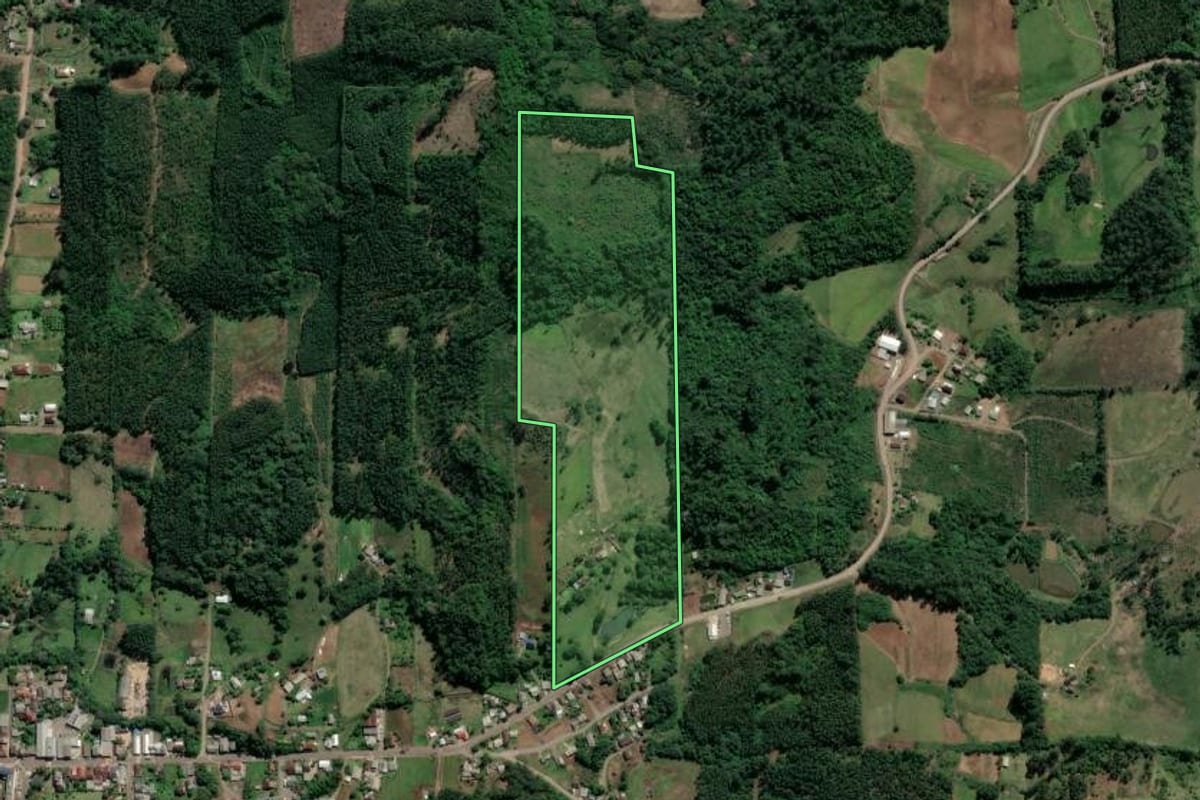 Imagem de satélite do imóvel rural em Paverama (RS), com o contorno declarado no CAR desenhado por cima.