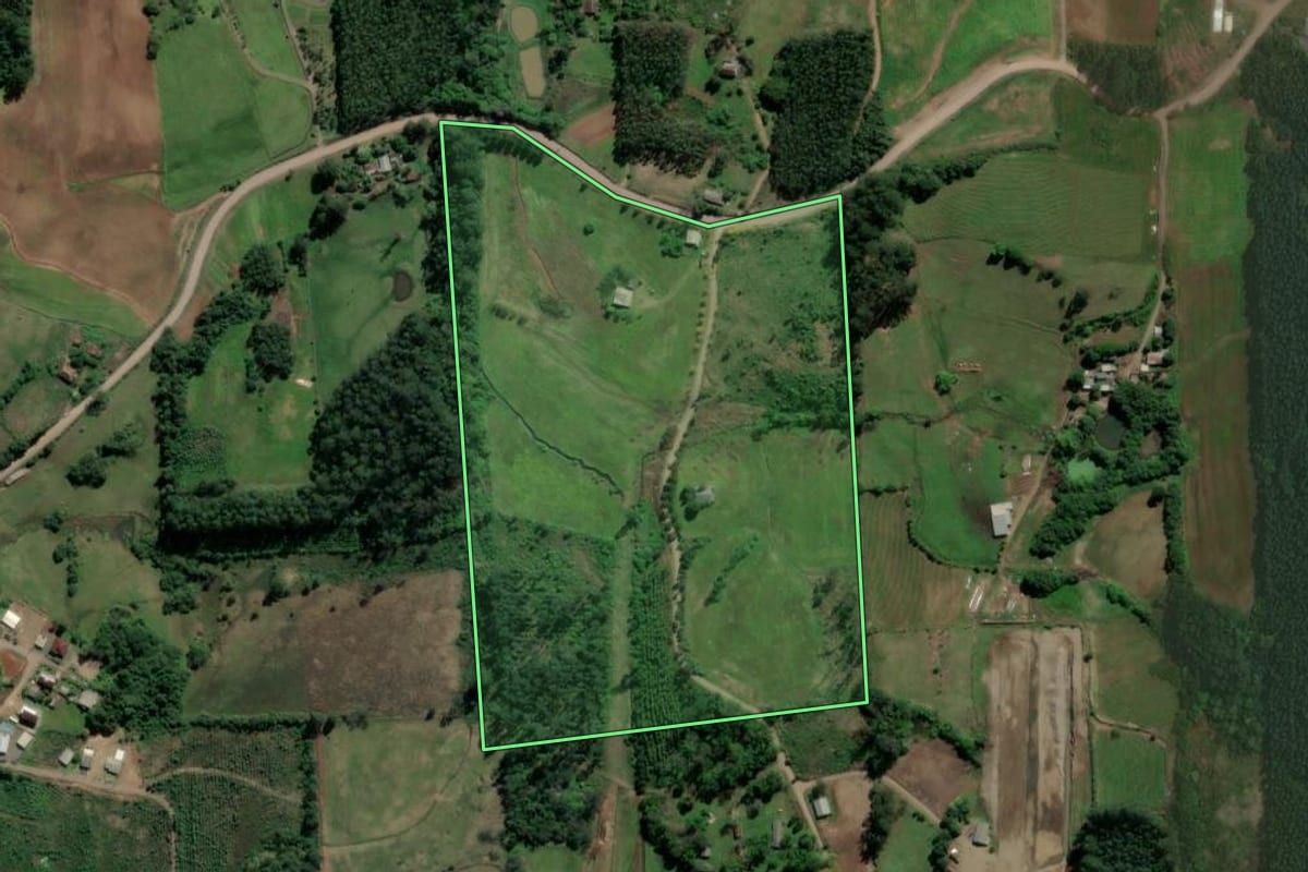 Imagem de satélite do imóvel rural em Paverama (RS), com o contorno declarado no CAR desenhado por cima.