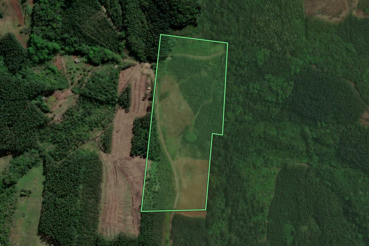 Imagem de satélite do imóvel rural em Paverama (RS), com o contorno declarado no CAR desenhado por cima.