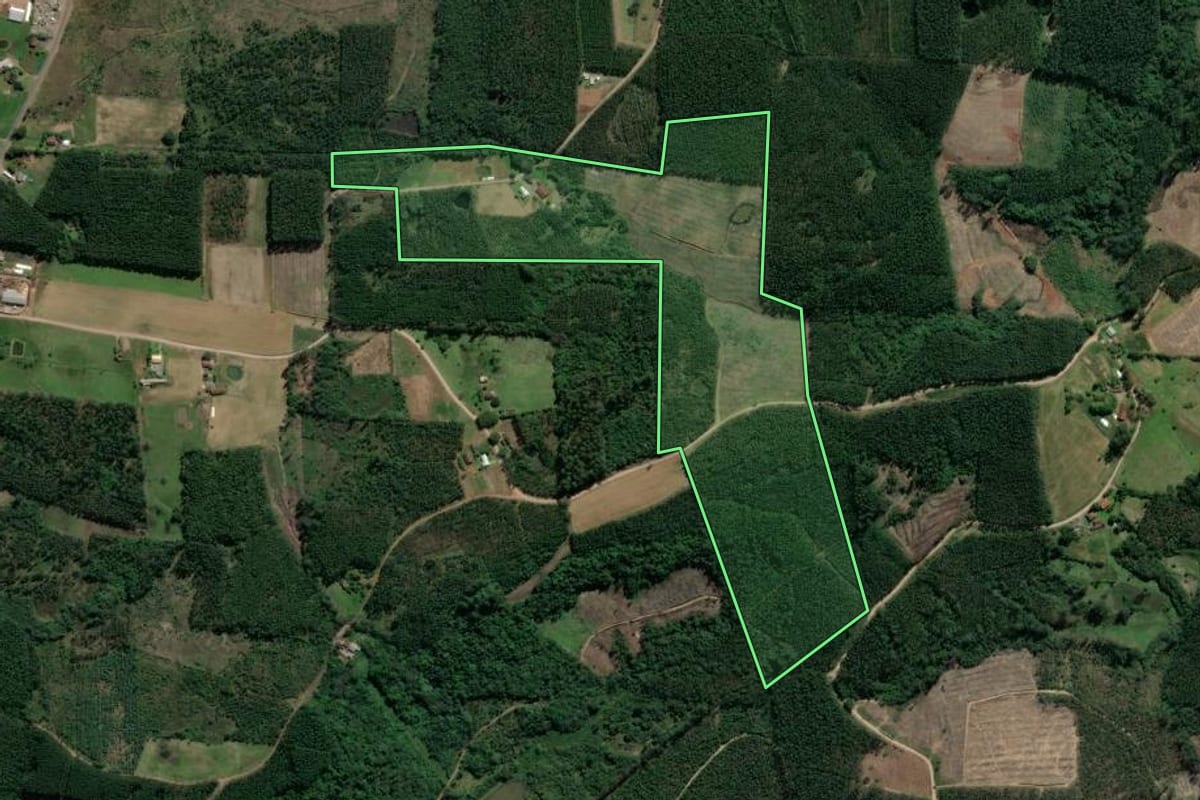 Imagem de satélite do imóvel rural em Paverama (RS), com o contorno declarado no CAR desenhado por cima.