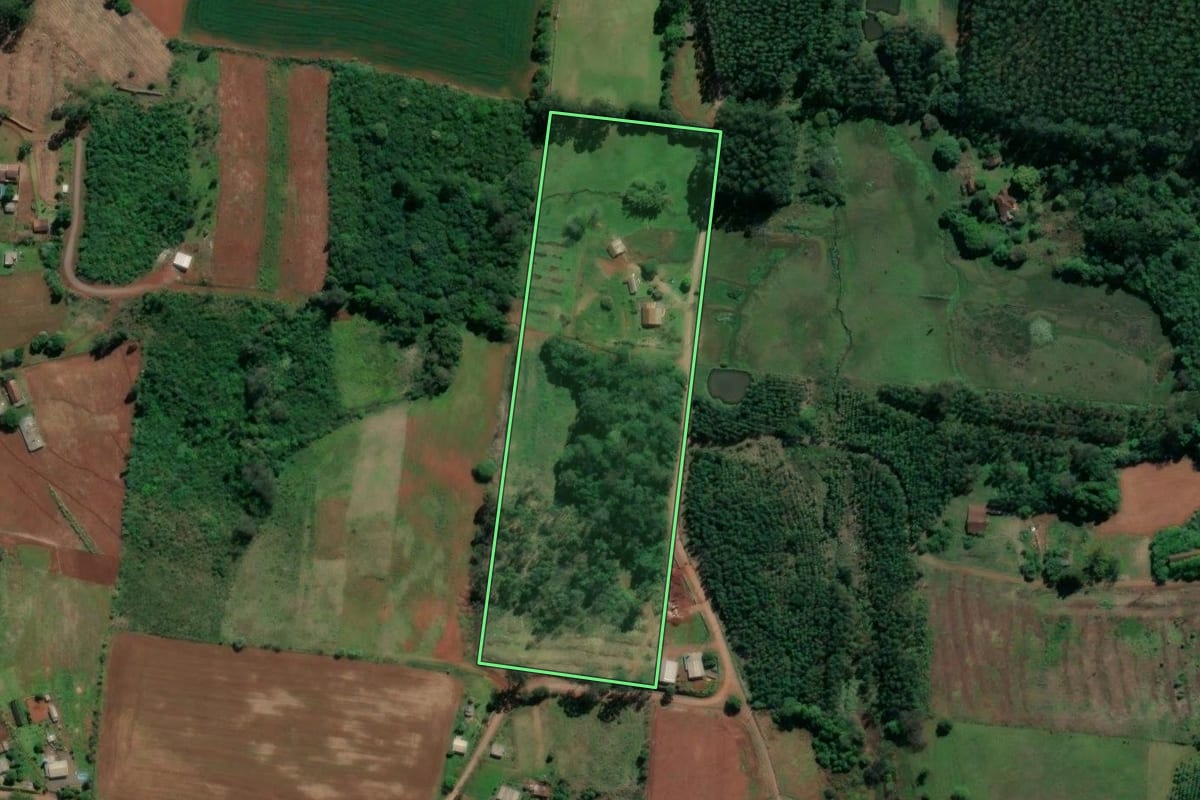 Imagem de satélite do imóvel rural em Paverama (RS), com o contorno declarado no CAR desenhado por cima.