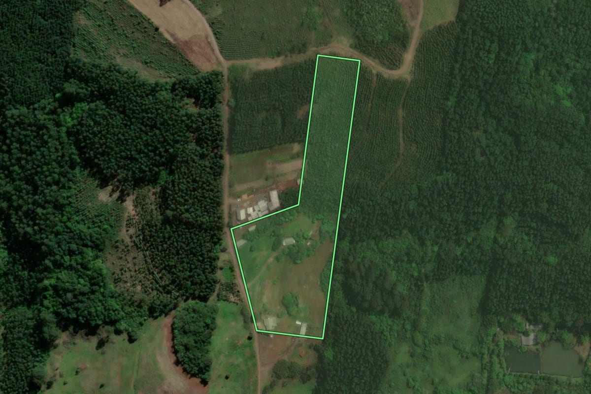 Imagem de satélite do imóvel rural em Paverama (RS), com o contorno declarado no CAR desenhado por cima.