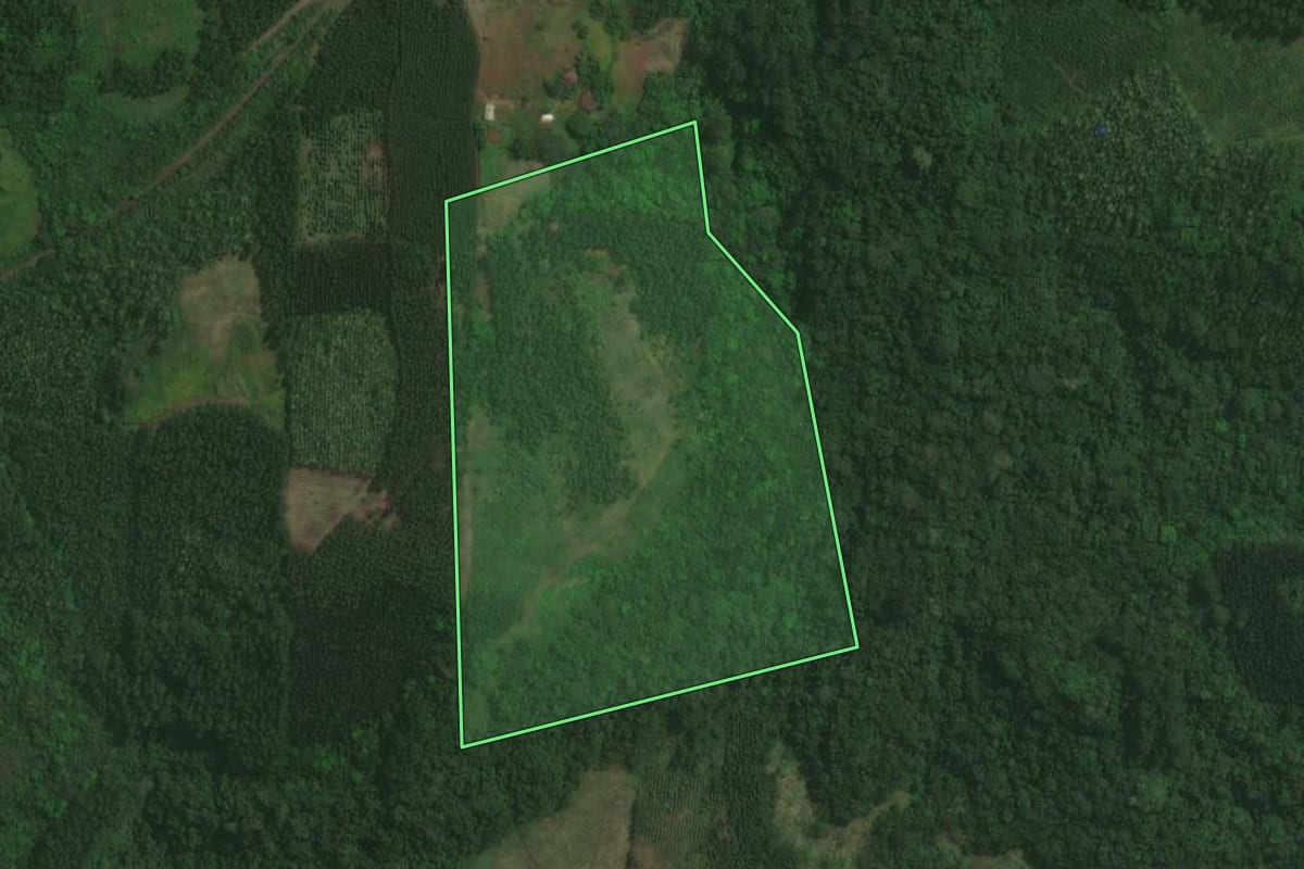 Imagem de satélite do imóvel rural em Paverama (RS), com o contorno declarado no CAR desenhado por cima.