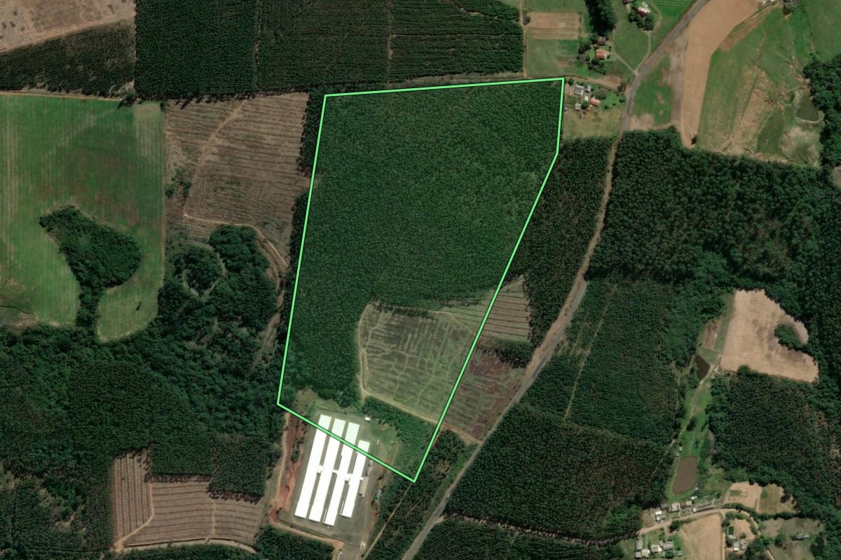Imagem de satélite do imóvel rural em Paverama (RS), com o contorno declarado no CAR desenhado por cima.