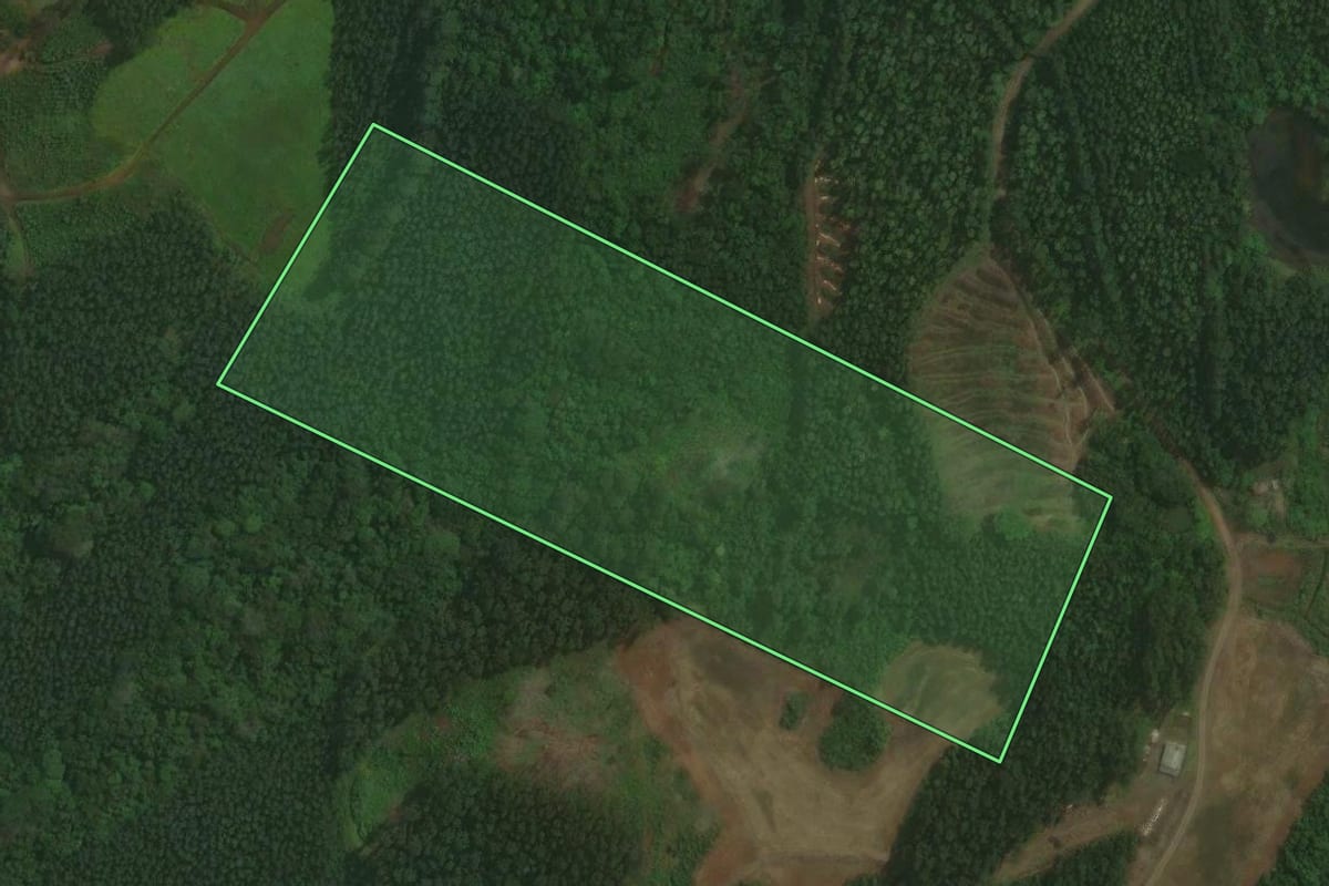 Imagem de satélite do imóvel rural em Paverama (RS), com o contorno declarado no CAR desenhado por cima.