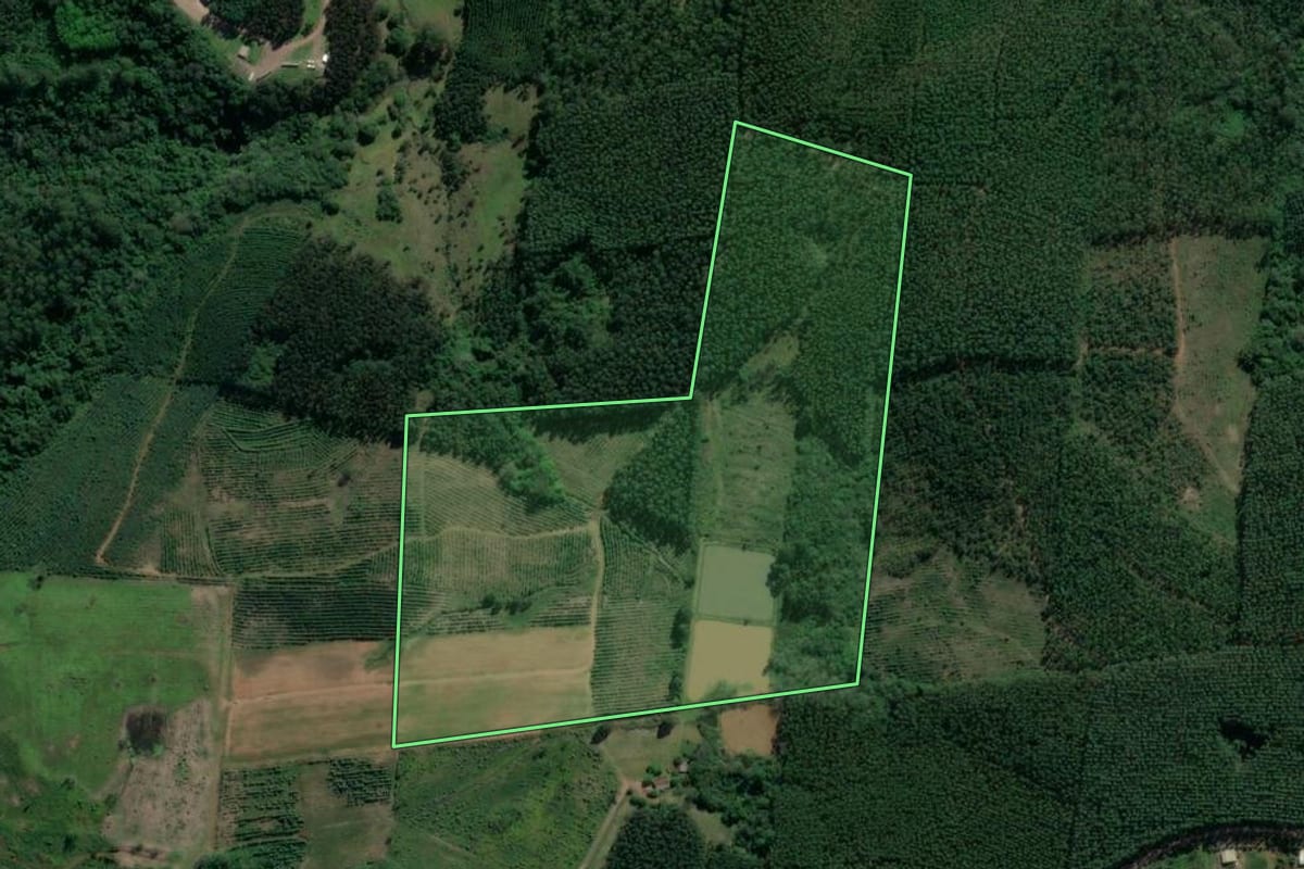 Imagem de satélite do imóvel rural em Paverama (RS), com o contorno declarado no CAR desenhado por cima.