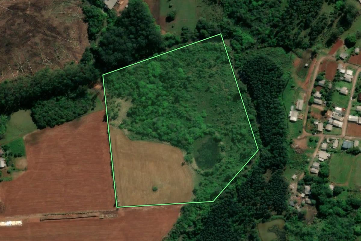 Imagem de satélite do imóvel rural em Paverama (RS), com o contorno declarado no CAR desenhado por cima.
