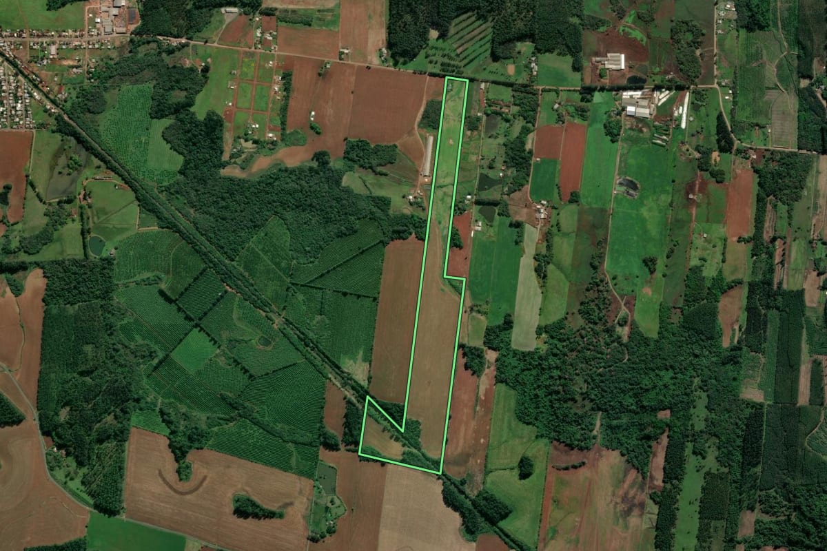 Imagem de satélite do imóvel rural em Paverama (RS), com o contorno declarado no CAR desenhado por cima.