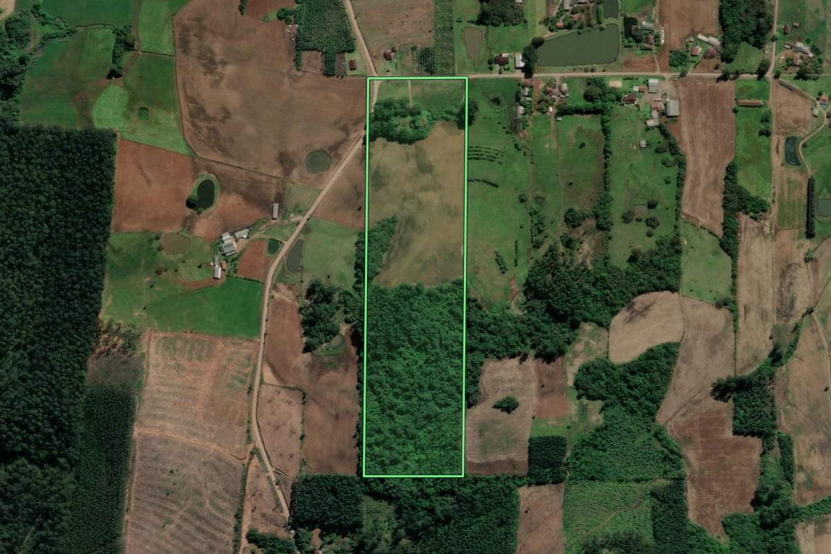 Imagem de satélite do imóvel rural em Paverama (RS), com o contorno declarado no CAR desenhado por cima.