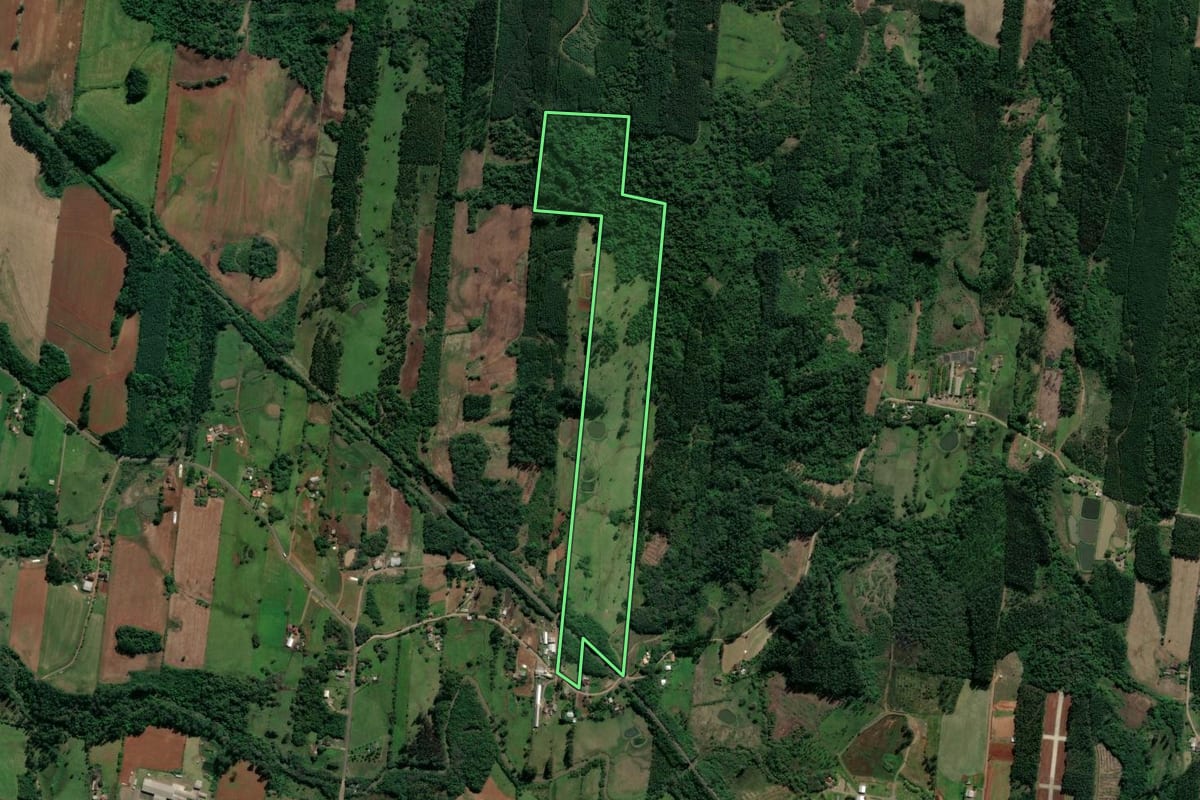 Imagem de satélite do imóvel rural em Paverama (RS), com o contorno declarado no CAR desenhado por cima.