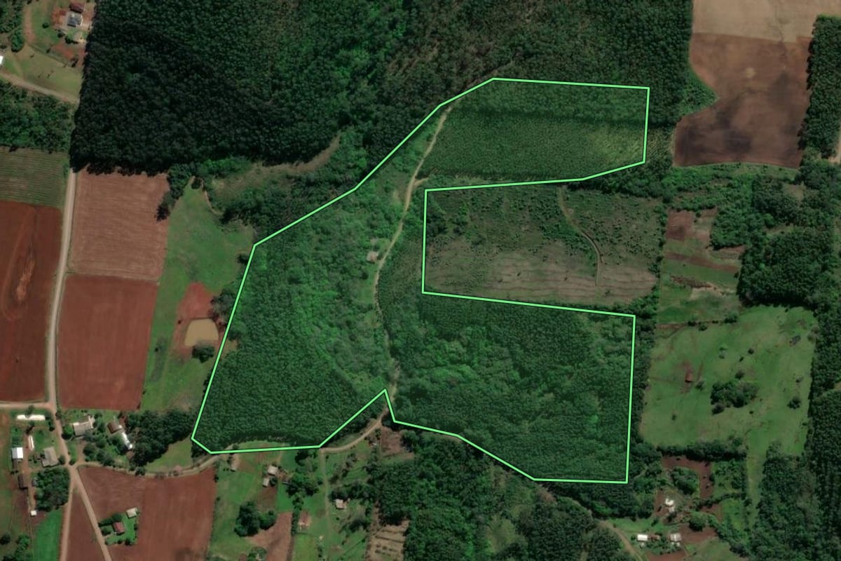 Imagem de satélite do imóvel rural em Paverama (RS), com o contorno declarado no CAR desenhado por cima.