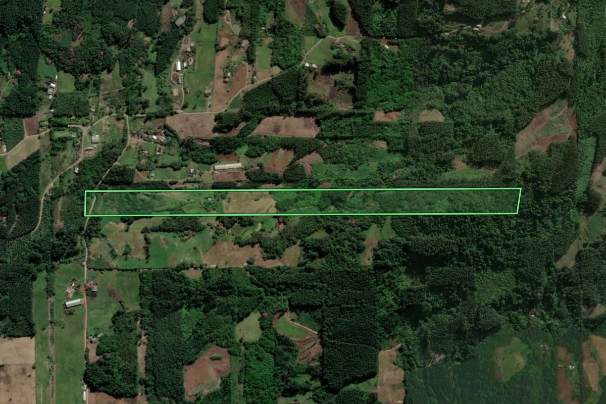 Imagem de satélite do imóvel rural em Paverama (RS), com o contorno declarado no CAR desenhado por cima.