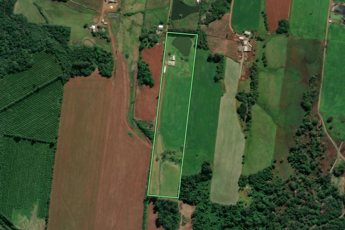 Imagem de satélite do imóvel rural em Paverama (RS), com o contorno declarado no CAR desenhado por cima.