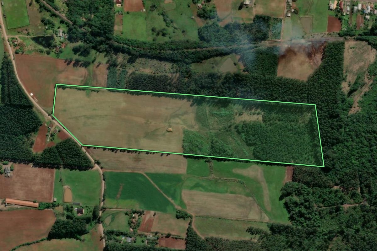 Imagem de satélite do imóvel rural em Paverama (RS), com o contorno declarado no CAR desenhado por cima.