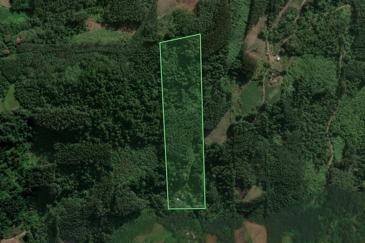 Imagem de satélite do imóvel rural em Paverama (RS), com o contorno declarado no CAR desenhado por cima.