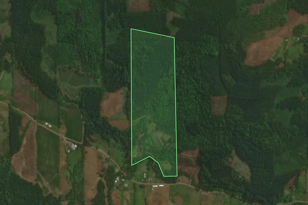 Imagem de satélite do imóvel rural em Paverama (RS), com o contorno declarado no CAR desenhado por cima.