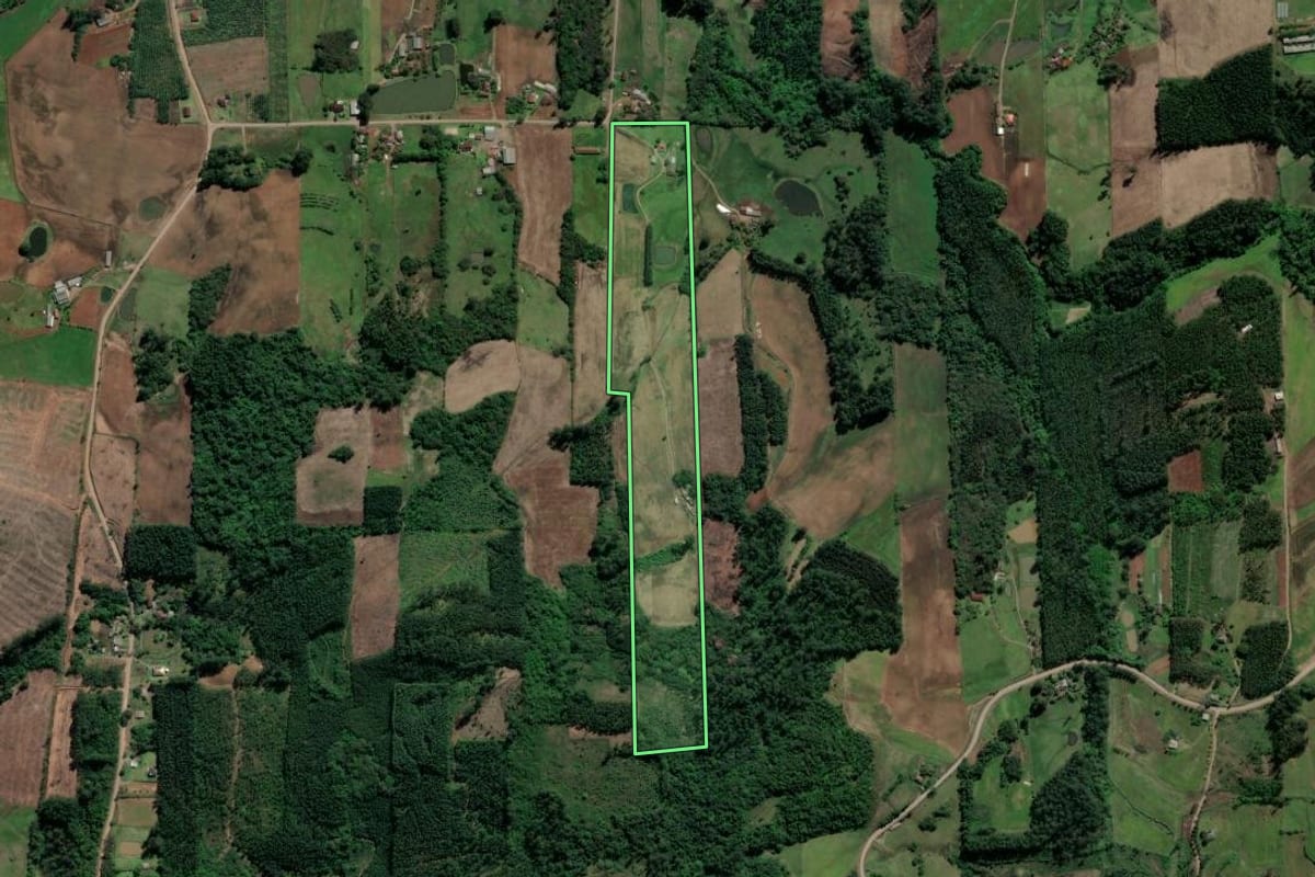 Imagem de satélite do imóvel rural em Paverama (RS), com o contorno declarado no CAR desenhado por cima.