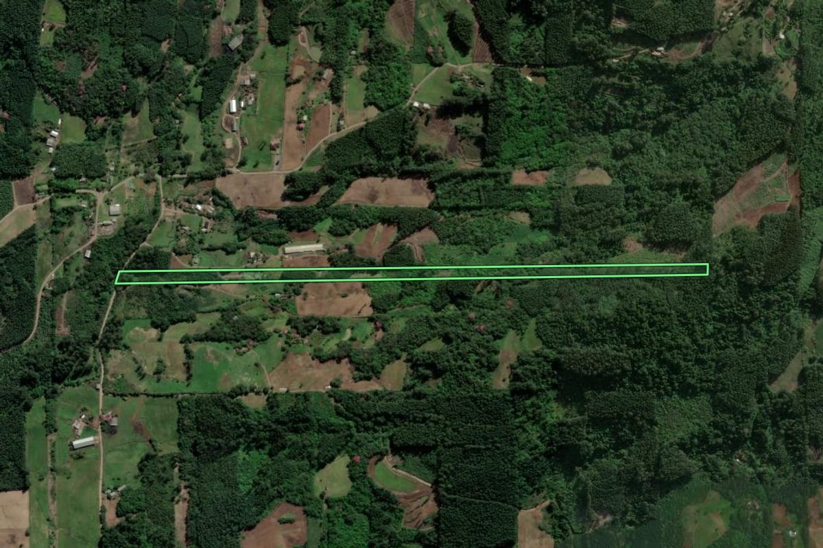 Imagem de satélite do imóvel rural em Paverama (RS), com o contorno declarado no CAR desenhado por cima.