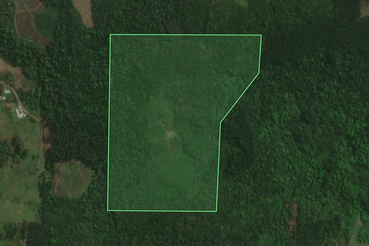 Imagem de satélite do imóvel rural em Paverama (RS), com o contorno declarado no CAR desenhado por cima.