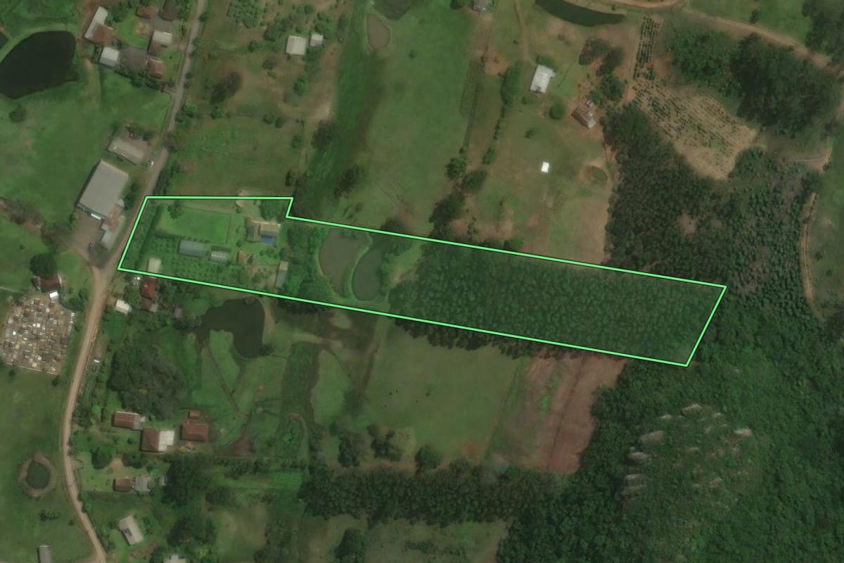 Imagem de satélite do imóvel rural em Paverama (RS), com o contorno declarado no CAR desenhado por cima.