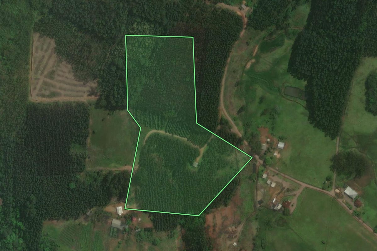 Imagem de satélite do imóvel rural em Paverama (RS), com o contorno declarado no CAR desenhado por cima.