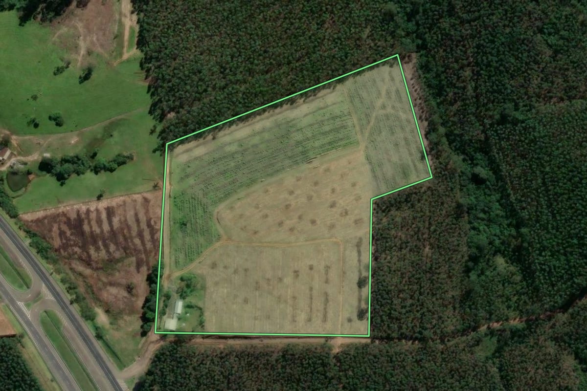 Imagem de satélite do imóvel rural em Paverama (RS), com o contorno declarado no CAR desenhado por cima.