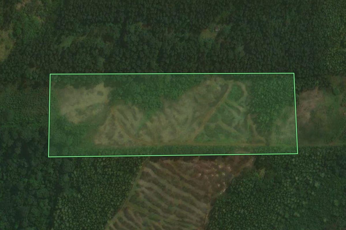 Imagem de satélite do imóvel rural em Paverama (RS), com o contorno declarado no CAR desenhado por cima.
