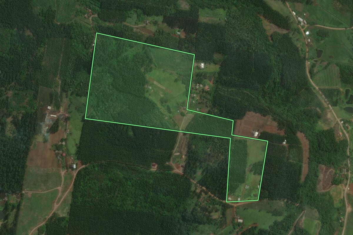 Imagem de satélite do imóvel rural em Paverama (RS), com o contorno declarado no CAR desenhado por cima.