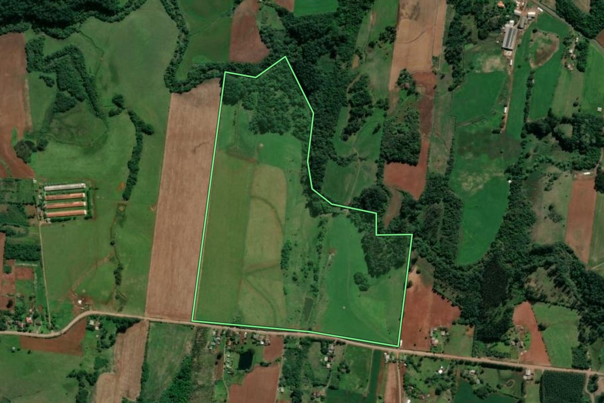 Imagem de satélite do imóvel rural em Paverama (RS), com o contorno declarado no CAR desenhado por cima.