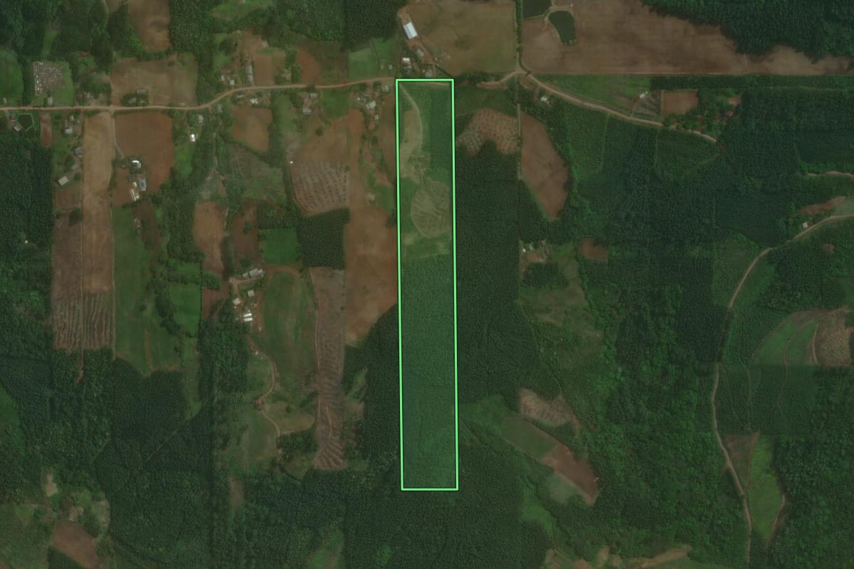 Imagem de satélite do imóvel rural em Paverama (RS), com o contorno declarado no CAR desenhado por cima.