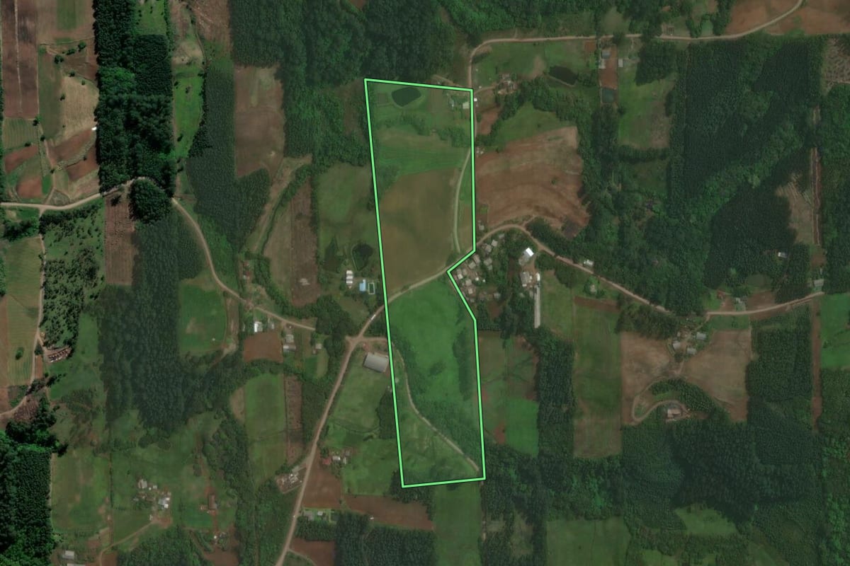 Imagem de satélite do imóvel rural em Paverama (RS), com o contorno declarado no CAR desenhado por cima.