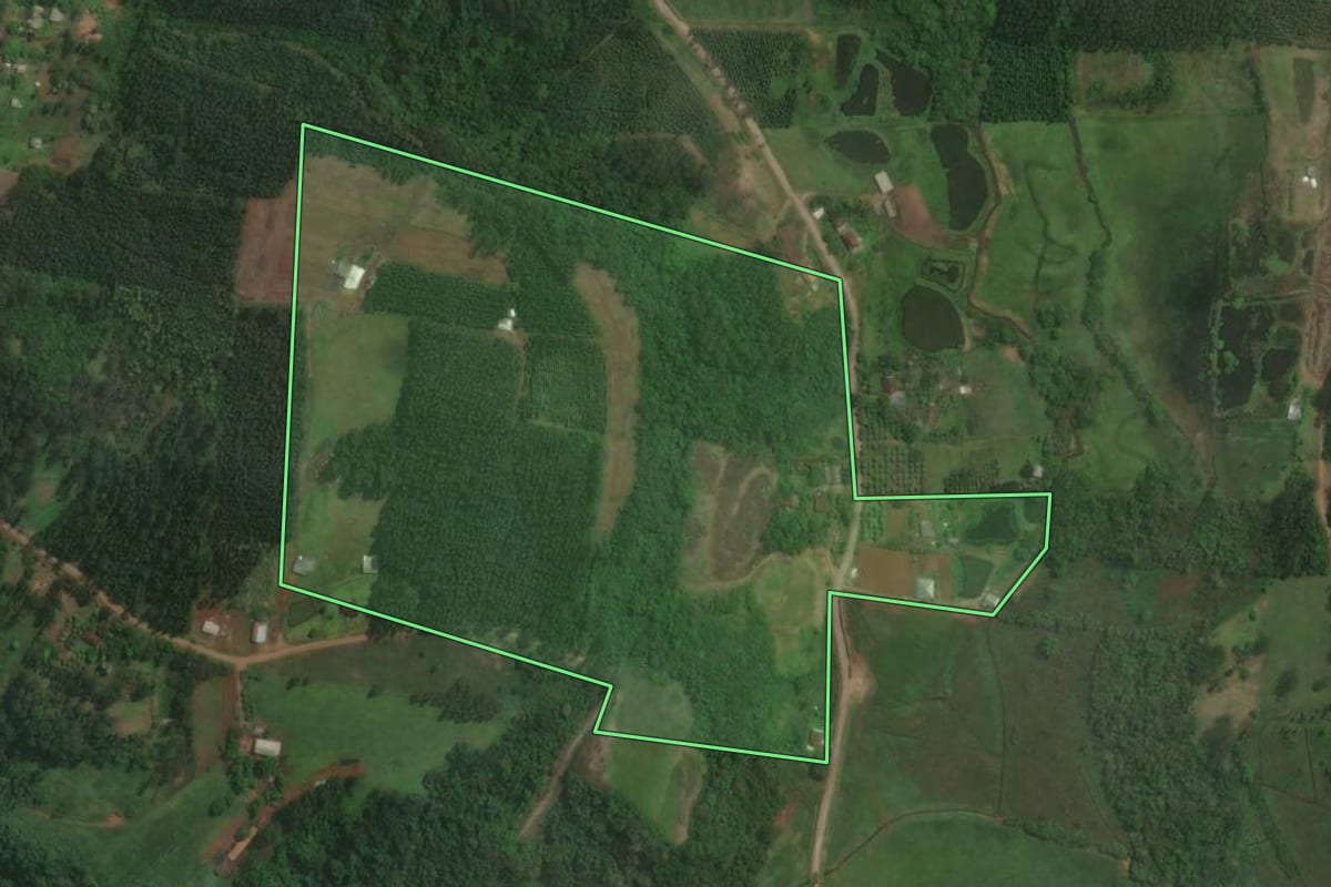 Imagem de satélite do imóvel rural em Paverama (RS), com o contorno declarado no CAR desenhado por cima.