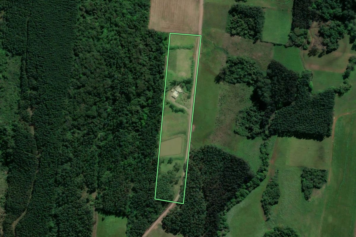 Imagem de satélite do imóvel rural em Paverama (RS), com o contorno declarado no CAR desenhado por cima.