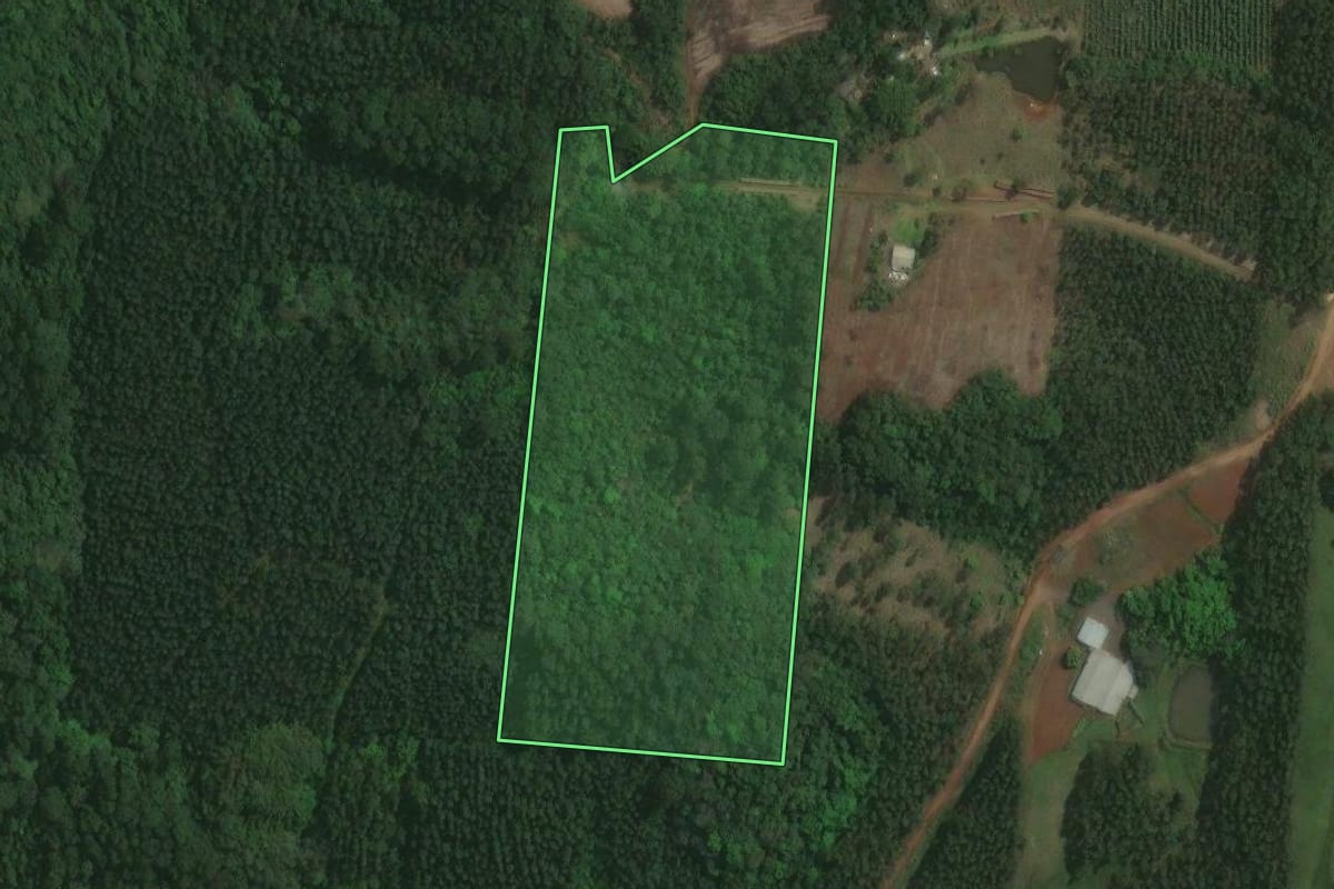 Imagem de satélite do imóvel rural em Paverama (RS), com o contorno declarado no CAR desenhado por cima.