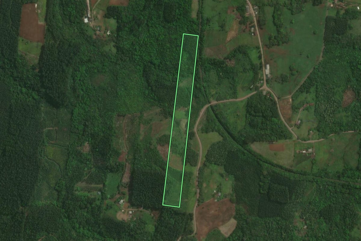Imagem de satélite do imóvel rural em Paverama (RS), com o contorno declarado no CAR desenhado por cima.