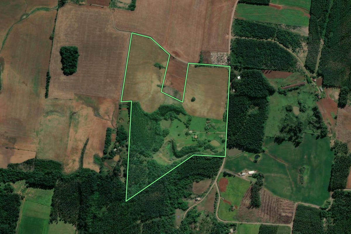 Imagem de satélite do imóvel rural em Paverama (RS), com o contorno declarado no CAR desenhado por cima.