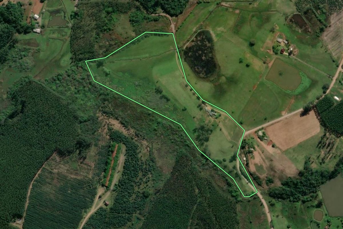 Imagem de satélite do imóvel rural em Paverama (RS), com o contorno declarado no CAR desenhado por cima.