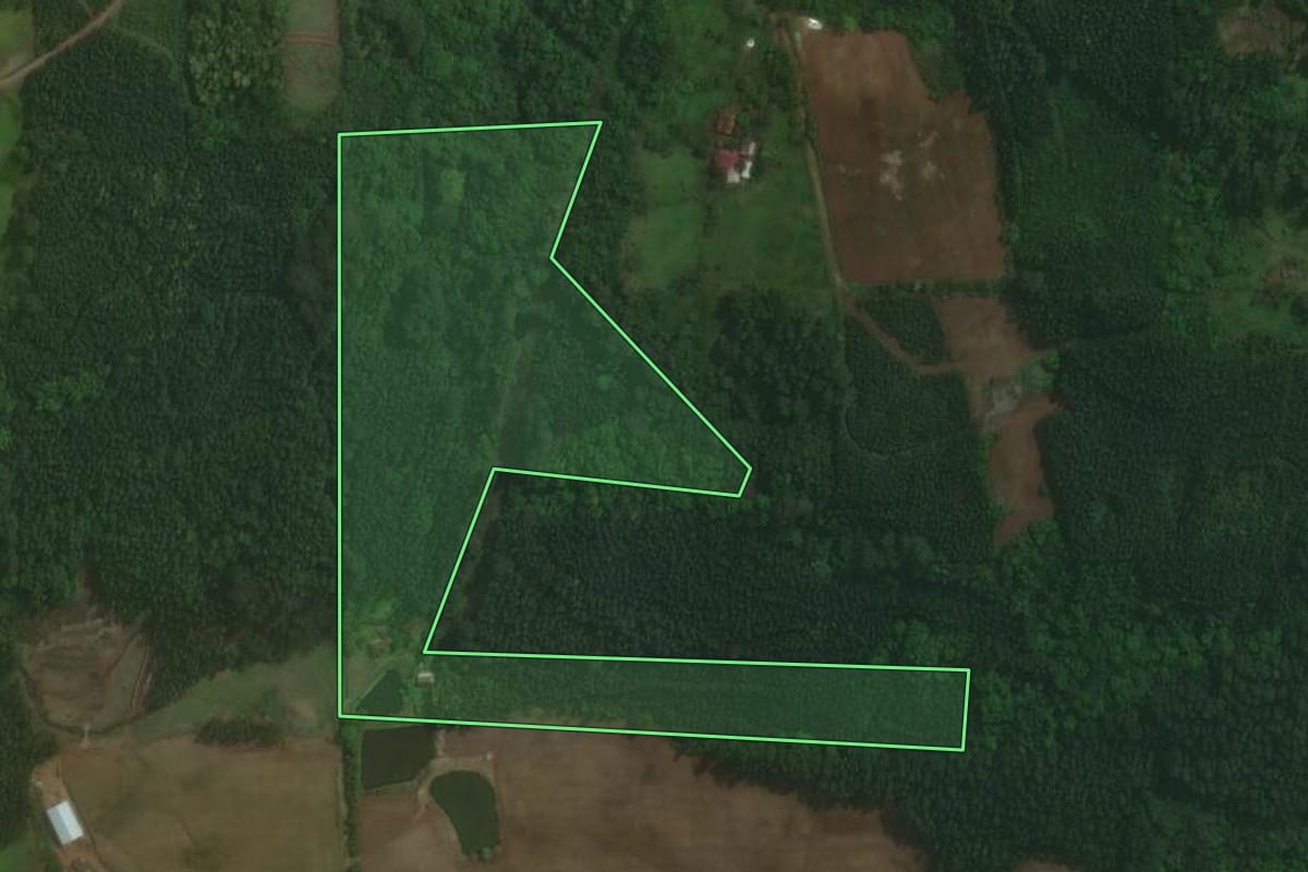Imagem de satélite do imóvel rural em Paverama (RS), com o contorno declarado no CAR desenhado por cima.