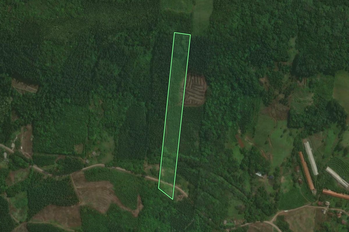 Imagem de satélite do imóvel rural em Paverama (RS), com o contorno declarado no CAR desenhado por cima.