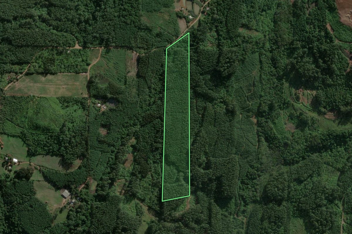 Imagem de satélite do imóvel rural em Paverama (RS), com o contorno declarado no CAR desenhado por cima.