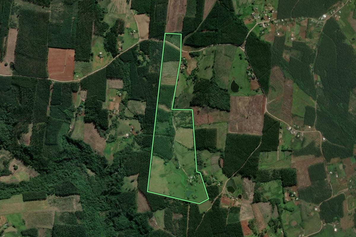 Imagem de satélite do imóvel rural em Paverama (RS), com o contorno declarado no CAR desenhado por cima.