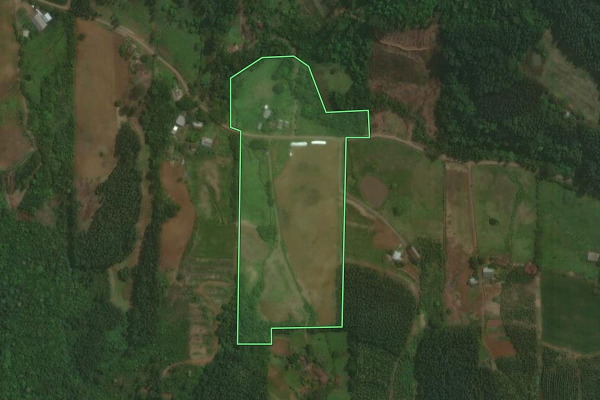 Imagem de satélite do imóvel rural em Paverama (RS), com o contorno declarado no CAR desenhado por cima.