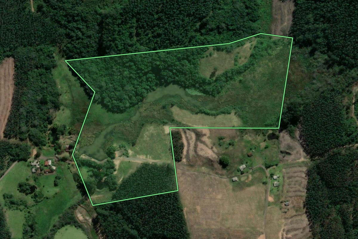 Imagem de satélite do imóvel rural em Paverama (RS), com o contorno declarado no CAR desenhado por cima.