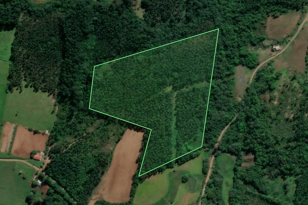 Imagem de satélite do imóvel rural em Paverama (RS), com o contorno declarado no CAR desenhado por cima.