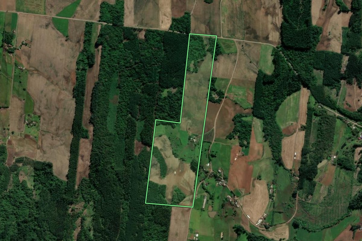 Imagem de satélite do imóvel rural em Paverama (RS), com o contorno declarado no CAR desenhado por cima.