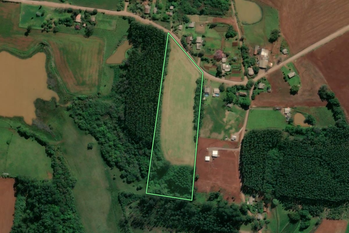 Imagem de satélite do imóvel rural em Paverama (RS), com o contorno declarado no CAR desenhado por cima.