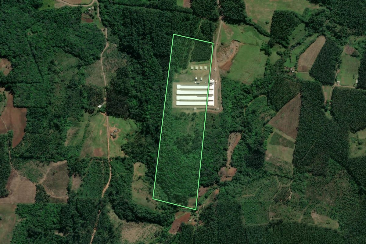 Imagem de satélite do imóvel rural em Paverama (RS), com o contorno declarado no CAR desenhado por cima.
